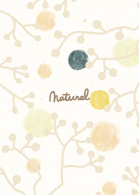 winter branch12 from Japan