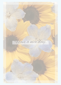 Sunflower Bouquet Theme -2024- 3