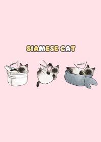 siamesecats5 / pink