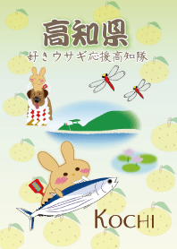 Kochi rabbit