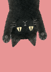 A unique cat08 light pink