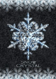 雪の結晶 - BLACK and WHITE -