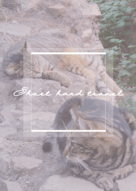 Short hand travel CAT