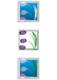 tulip case