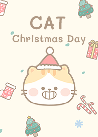 Cat  on Christmas Day!