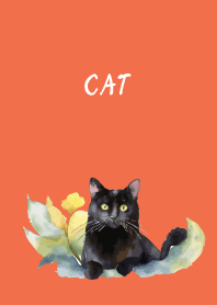 there's a cat on red & yellow