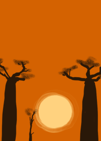 baobab sunset