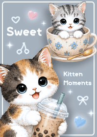 blue Sweet Kitten Moments