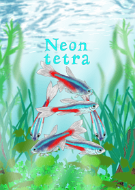 Neon tetra.
