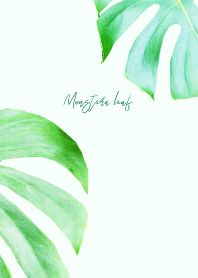 Monstera photo theme