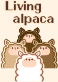 Living alpaca (Theme)