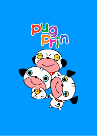 Cute pug pudding