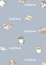 neko combo4 / slate blue
