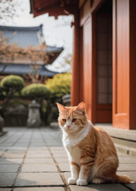 貓狂野＃ffwae125。