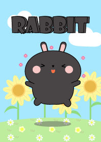 Happy Lovely Black Rabbit Theme