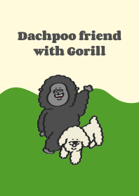 Dachpoo friend (with Gorilla)