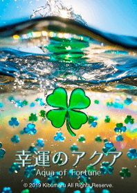 Aqua of Fortune.