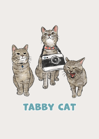 tabbycat11 / light beige