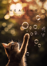HEALING - CAT - 01
