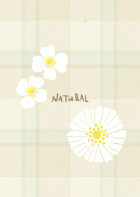 Check Pretty white flowers9 from Japan