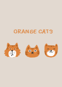 orange cats