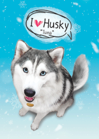 I Love Husky