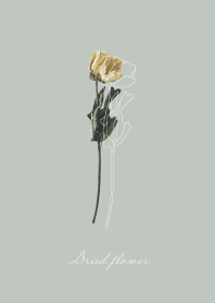Dried flower_relax time_06