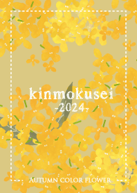 金木犀（キンモクセイ）-2024-