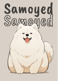 Samoyed - Dog