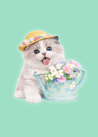 Floral Ragdoll Cat Green 05