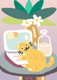 Hi meow