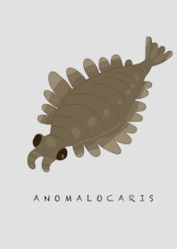 Anomalocaris