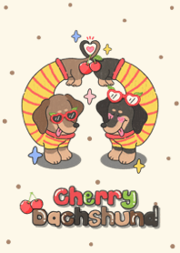 Cherry dachshund