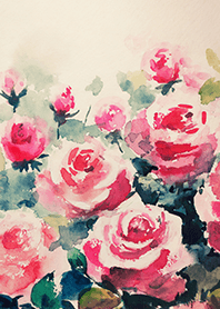 Beautiful rose flower(R4297)