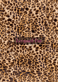Leopard Fur 83