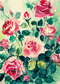 Beautiful rose flower(R4388)