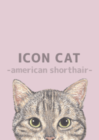 ICON CAT-American Shorthair-PASTEL PK/02