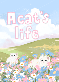 Daddy | A cat life
