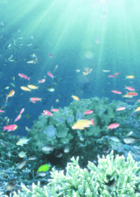 Colorful underwater and light