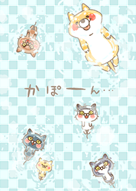 Talking Cat's Bath Time