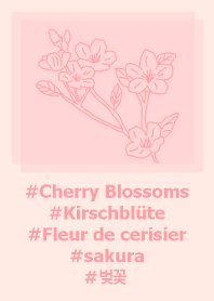 #flower Cherry Blossoms(baby pink)
