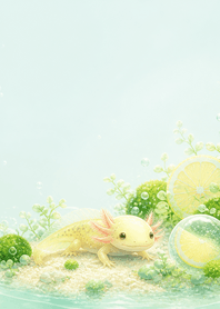 Sand Newt Lemon Soda Moss