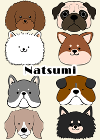 Natsumi Scandinavian dog style