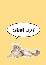 Counselor's Cat on brown yellow