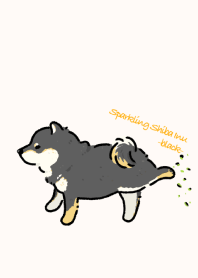 Sparkling Shiba Inu -black-