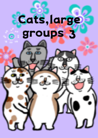 猫たち、大集合3