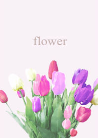 Light tulip fragrance8.