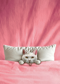 귀여운 퀼트 고양이 -흰 고양이1.3