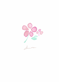 Watercolor transparent flower1.