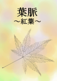 葉脈～紅葉～